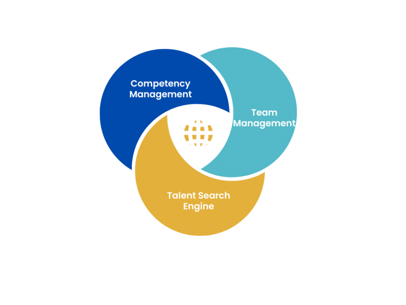 Venn-diagram-company-positioning